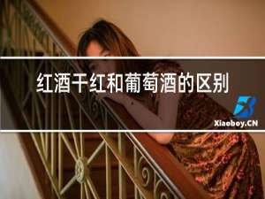 红酒干红和葡萄酒的区别