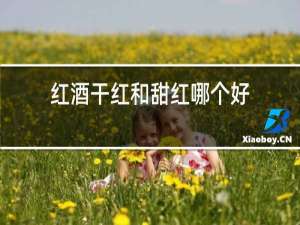 红酒干红和甜红哪个好
