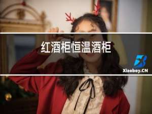 红酒柜恒温酒柜