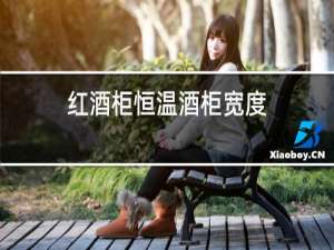 红酒柜恒温酒柜宽度