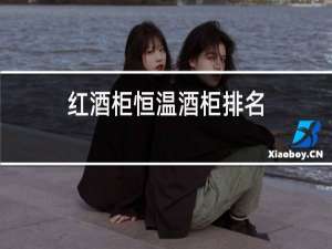 红酒柜恒温酒柜排名