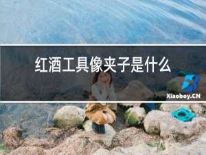 红酒工具像夹子是什么