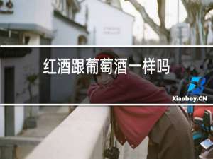 红酒跟葡萄酒一样吗