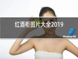 红酒柜图片大全2019新款