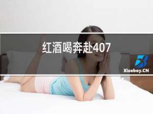 红酒喝奔赴407