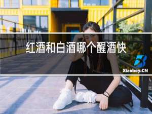 红酒和白酒哪个醒酒快