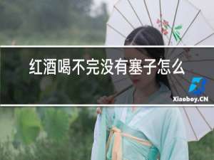 红酒喝不完没有塞子怎么保存