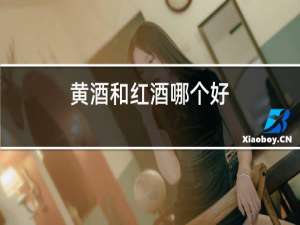 黄酒和红酒哪个好