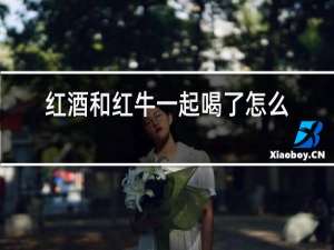 红酒和红牛一起喝了怎么办