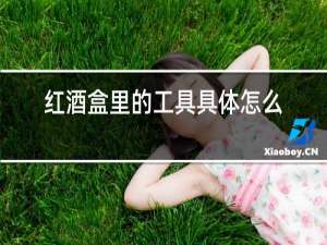 红酒盒里的工具具体怎么用