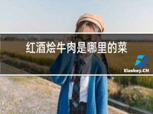 红酒烩牛肉是哪里的菜