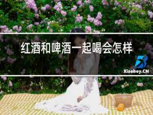 红酒和啤酒一起喝会怎样