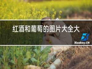 红酒和葡萄的图片大全大图