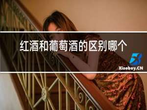 红酒和葡萄酒的区别哪个好