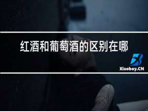 红酒和葡萄酒的区别在哪里