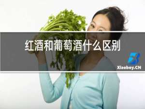 红酒和葡萄酒什么区别