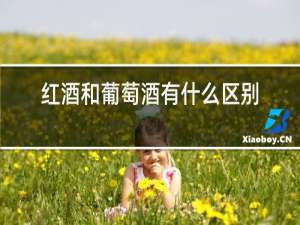 红酒和葡萄酒有什么区别
