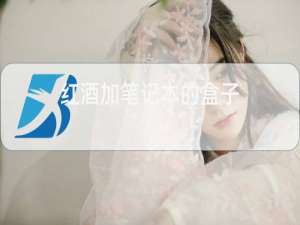 红酒加笔记本的盒子