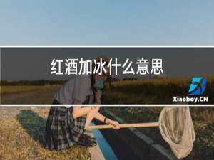 红酒加冰什么意思