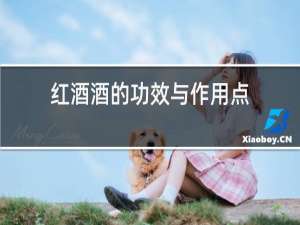 红酒酒的功效与作用点