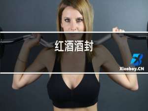 红酒酒封