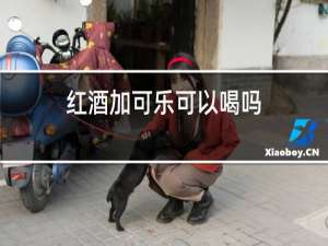红酒加可乐可以喝吗