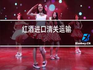 红酒进口清关运输