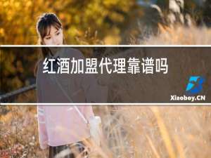 红酒加盟代理靠谱吗