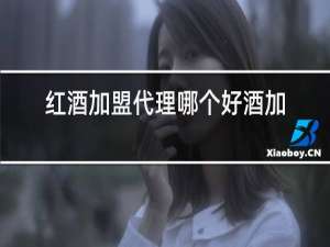 红酒加盟代理哪个好酒加盟