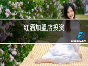 红酒加盟店投资