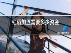 红酒加盟需要多少资金