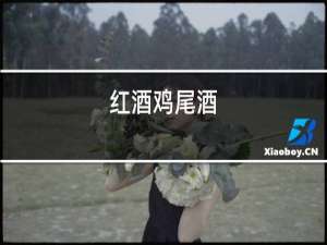 红酒鸡尾酒
