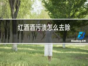 红酒酒污渍怎么去除