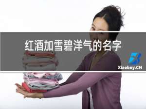 红酒加雪碧洋气的名字