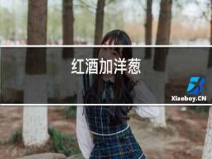 红酒加洋葱