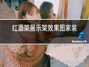 红酒架展示架效果图家装