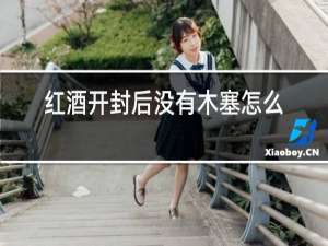 红酒开封后没有木塞怎么保存
