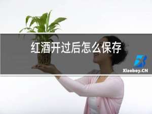 红酒开盖后怎么保存