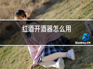 红酒开酒器怎么用