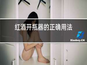 红酒开瓶器的正确用法