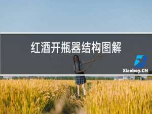 红酒开瓶器结构图解