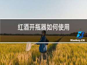 红酒开瓶器如何使用