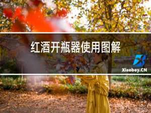 红酒开瓶器使用图解
