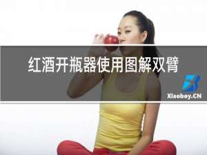 红酒开瓶器使用图解双臂