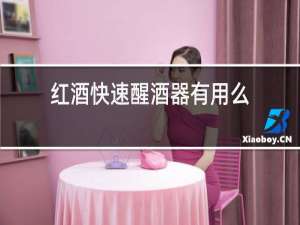 红酒快速醒酒器有用吗