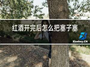 红酒开完后怎么把塞子塞回去