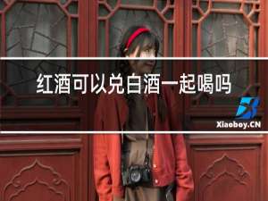 红酒可以兑白酒一起喝吗