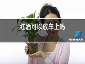 红酒可以放车上吗