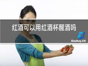 红酒可以用红酒杯醒酒吗