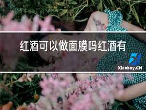 红酒可以做面膜吗红酒有什么功效